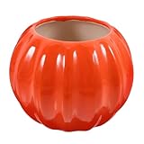 Vase en céramique en forme de citrouille – son aspect unique et artistique en fait une décoration de table parfaite