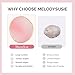 MelodySusie 2PCS Round Shape Resin Nail Art Palette Set with Stainless Steel Mixing Stick, Professional Color Mixing Board for Gel Polish, Acrylics, Pigment Blending, Salon and DIY Makeup Tool