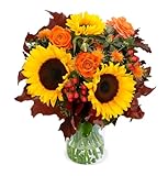 Blume Ideal