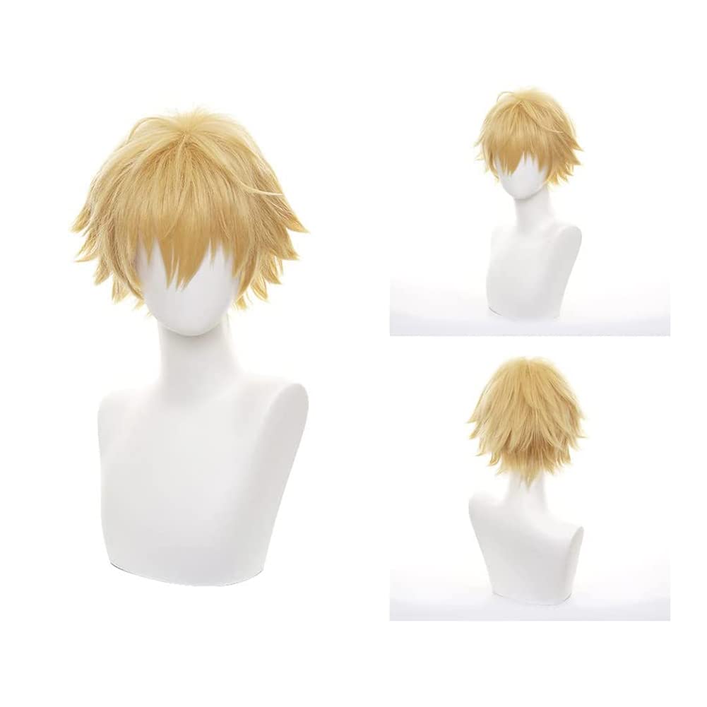 Amazon.co.jp: [Amycute] マキマ ウィッグ チェンソーマン