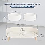 Katzen Napfset Katzennapf Erhöht Keramik - Doppelt Katzennäpfe mit Rutschfestem Ständer und Spritzschutz - Fressnapf Katze Napf - Futternapf Wassernapf Set für Welpen Kleine Hunde - 2 x 480 ML
