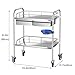 Lab Serving Cart, 2-Shelf Stainless Steel Rolling Cart, Medical Cart with 360° Silent Wheels and A Drawer for Kitchen Restaurant Hospita Lab and Hotel,Double Layer-60 * 40 * 86CM
