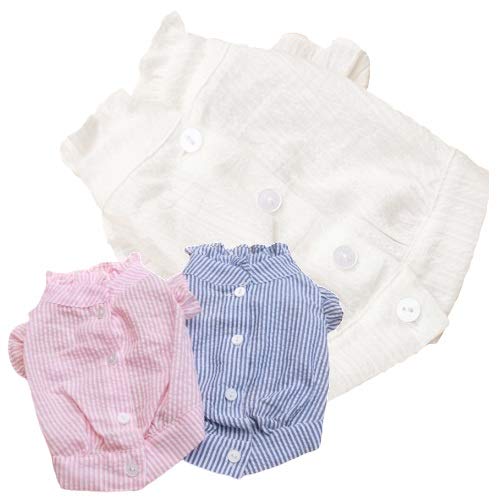 ykamakuradog qhbOzuEXt  ̕ ybg hbOEFA (sN, L)