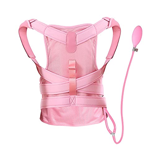 jƏ̂߂̎puAҒłƔw̃T|[guAO݂Lw̎AwA̒ɂ݂y܂B