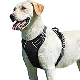 Eagloo Dog Harness for Large Dogs No Pull, Front Clip Dog Walking Harness with Reflective Adjustable Soft Padded Vest and Easy Control Handle, No-Choke Pet Harness with 2 Metal Rings, Black, L