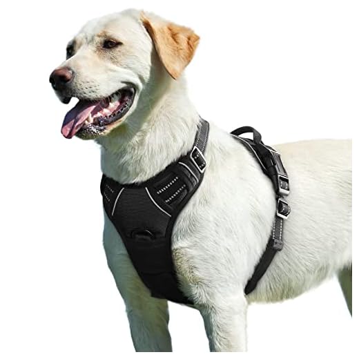 Eagloo Dog Harness No Pull, Walking Pet Harness with 2 Metal Rings and Handle Adjustable Reflective Breathable Oxford Soft Vest Easy Control Front Clip Harness Outdoor for Large Dogs Black