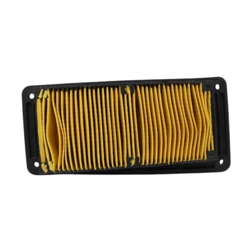 Filtre à air moto haute filtration pour moteurs Joymax et GTS EVO
