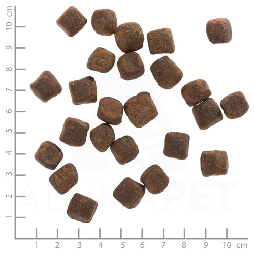 WOLFSBLUT – Dark Forest Adult | Trockenfutter mit wertvollen Superfoods für ausgewachsene Hunde. Getreidefreies Alleinfutter ohne Zusatzstoffe im Beutel | 12,5kg Wild