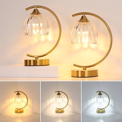 Image of Shenmoyl Set of 2 Tulip Table Lamp, 5200mAh Cordless Touch Control Table Lamp with 3 Color Temps & Stepless Dimming, Rechargeable Battery Table Lamp for Living Room, Bedroom, Shelf (Transparent Tulip)