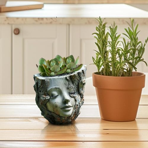 Pot de fleurs pour le visage en design statue de jardin unique - 8