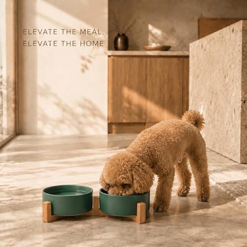 SPUNKYJUNKY Ceramic Dog and Cat Bowl with Wood Stand Non-Slip Matte Glaze Weighted Food Water Set for Cats &Small Dogs 13.5 OZ Green by SPUNKYJUNKY - Image 2
