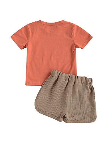 Image of fhutpw Baby Boys 2Pcs Summer Outfits Short Sleeve T-Shirt Tops Elastic Waistband Shorts Set Toddler Clothes