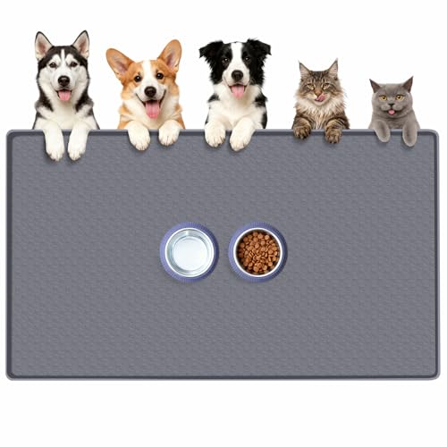 How long can a dog live without pooping
