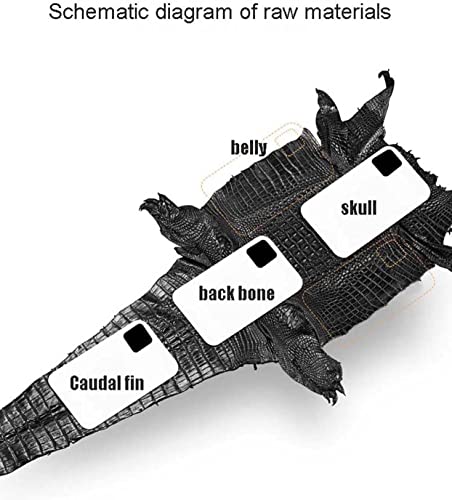 Coque iPhone 14 cuir crocodile pour le style de vie - 3