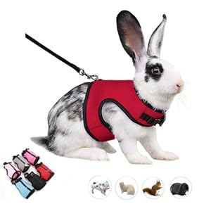 Rabbit Harness Escape Proof Leash Set, Bunny Vest Hamster Mesh Walking Training for Small Animal Pets Rat Squirrel Ferret Chinchillas Guinea Pig Bunnies,Red XL