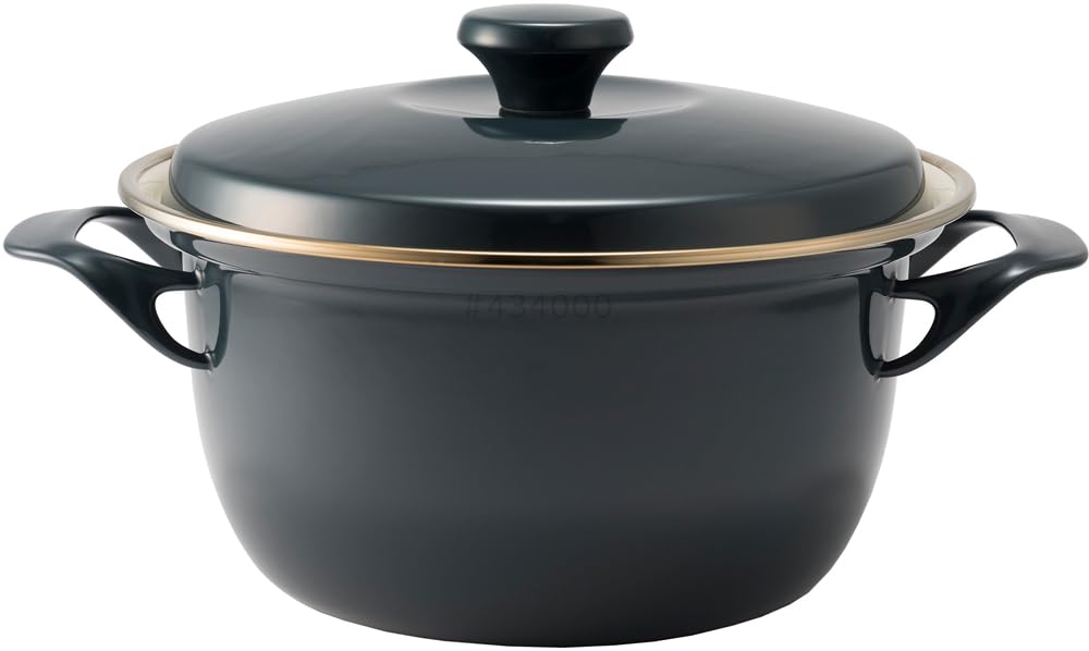 FUJIHORO 両手鍋 富士ホーロー 20cm EXシリーズ EX-20W FUJIHORO 両手