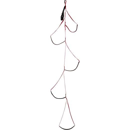 Black Diamond Equipment Alpine Aiders