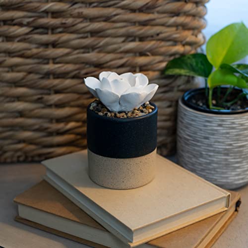 Demdaco Navy Blue And Speckled Golden Succulent 3 X 5 Stoneware Decorative Tabletop Oil Diffuser #TOP5