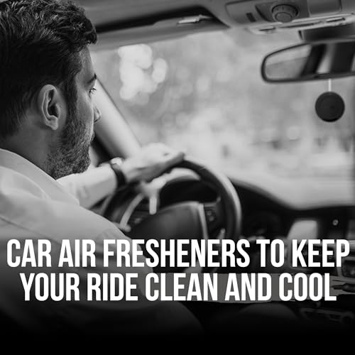 AXE 3D Hanging Gel Car Air Freshener (Black Scent, 1 Pack)