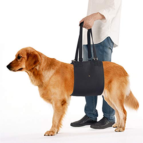In hand Dog Lift Harness, 2021 Dog Support Harness with Adjustable Support Sling Lift for Canine Aid, Helps with Loss of Stability, Rehabilitation, Old, Joint Injuries and Injured Dogs Walk