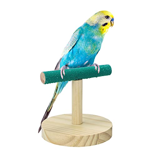 Image of Litewoo Parrot Perch Bird Stand Natural Wood Quartz Sand Birdcage Play Gym T Perch Fits for Budgies Parakeet Cockatiel Conure Lovebirds（A）