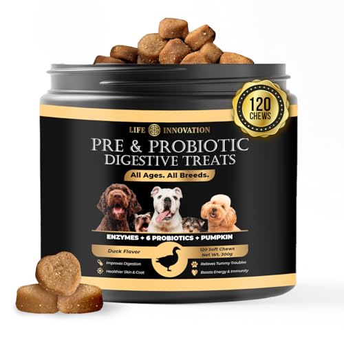 Probióticos para cães com enzimas - 120 Chews - Digestivas, abóbora, papaia e iogurte – Mistura avançada com Bacillus subtilis DE111 – Suporte Digestivo, immunidade e bem-estar geral