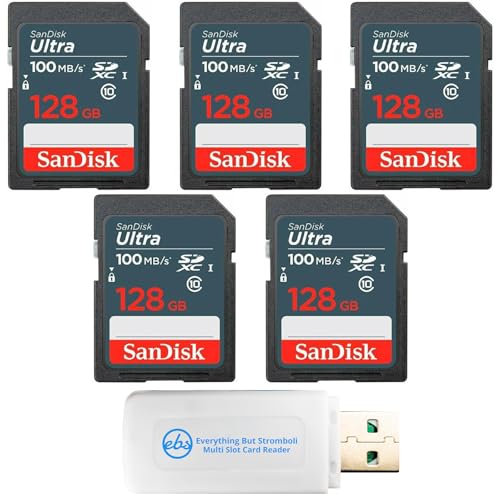 SanDisk 100MB/s SD Ultra 5pbN NX10 SDXC 128GB [J[h SDSDUNR-128G-GN3IN - Stromboli}`XbgJ[h[_[1Zbg