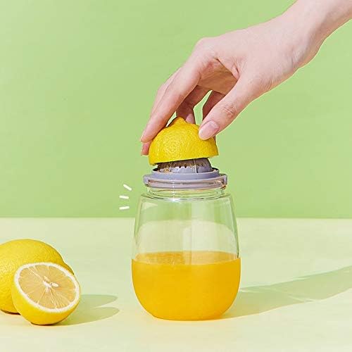 Juicer Household Fruit Small Portable Multi-function Juice Maker Electric Full Automatic Cup