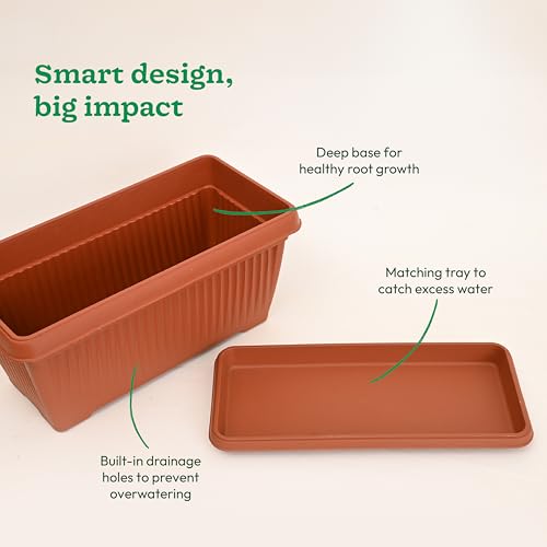 Image of UGAOO Bellow Rectangle Window Planter - Set of 3 | Terracotta Colour | Long & Deep Planters for Balcony Railings, Windowsills & Gardens | Lightweight, Durable & Recyclable | Matte Finish
