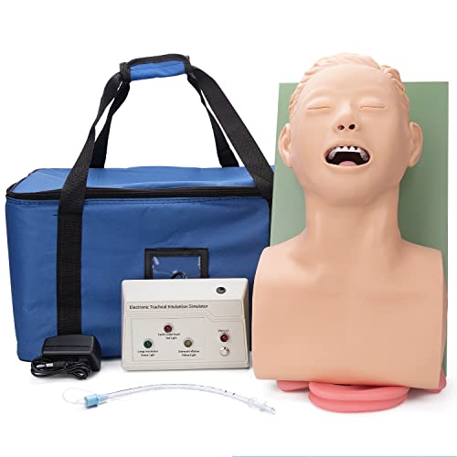 Image of Intubation Manikin Teaching Model, 110V Adult Airway Management Trainer Tracheal Intubation Training Simulator Model, Science Lab Education Training