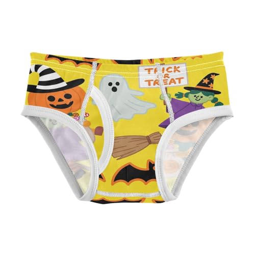 visesunny Boys Potty Training Underwear Halloween Witch Bat Breathe Cotton Briefs Size 2T-8Y for Toddler