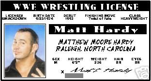 Matt Hardy - WWE Wrestling- Collector Card