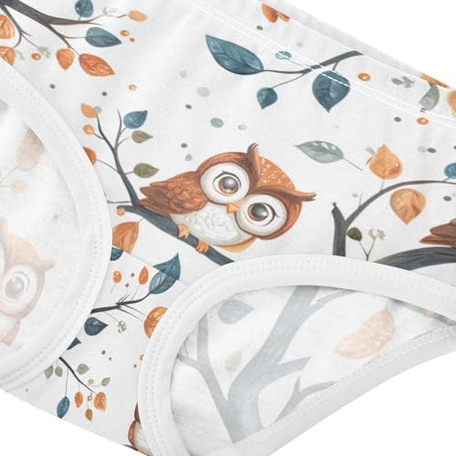 ZZKKO Cute Owl on The Branch Girls Underwear Toddler Panties for Girls Comfort Brief Size 2T-8Y3