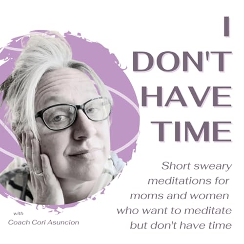 Couverture de I Really Wanna Not Give a F*ck