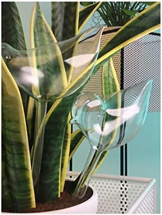 KiKiHome Self Watering Globes for Plants, Clear Glass Shape Design Plant Waterer Bulbs, Automatic Irrigation Device for Indoor & Outdoor Plants, 2 Birds
