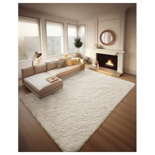 Soft and Fluffy Area Rug for Rooms
