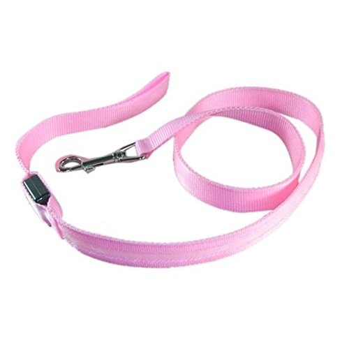 Nema Nylon Led Leash Dog Safety Glow Rope - 120Cm - Pink (B07Z8W1ZT5) Amazon Price History, Amazon Price Tracker