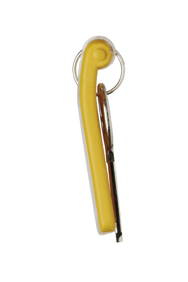 Durable 194927 Key Clip, Lot de 24 Porte-Clés avec Porte-Étiquette Personnalisable pour Armoire à Clés Key Box, Assortis