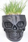 Skull Tiki Planter (Black)