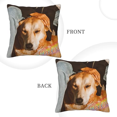 image for Funnylife Personalized Pet Memorial Throw Pillow with Photo Pet Memori