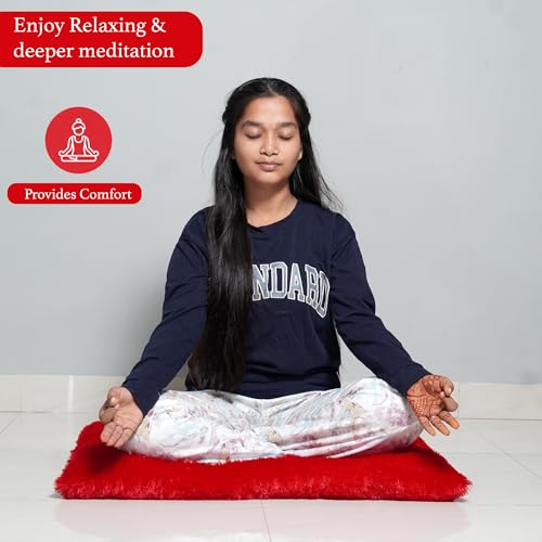 Image of NEXTGO Floor Seat Cushions Yoga Meditation Mat Pooja aasan Soft Extra Comfortable Feather Touch Last Long Upto Washable Material Size 24 x 30 Inch 2 x 2.5 Fit (RED)