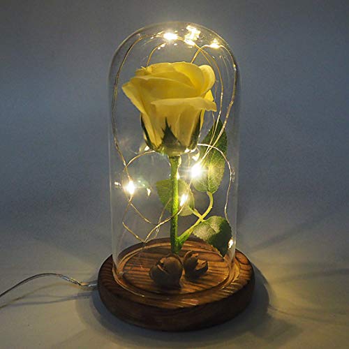 Jieway Beauty and The Beast Rose, Rose Light Dream Flower en una cúpula de Vidrio con luz LED USB Base de Madera Regalo para el día de San Valentín, Bodas