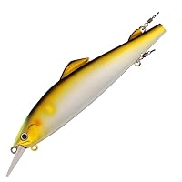 Amazon.co.jp: ダイワ(DAIWA) ルアー AYUING(アユイング)ミノー