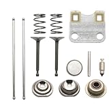 Aynaxcol Valve Plate Push Rod Stem Protection Cap Set 14711-ZF1-000, Replacement for Hond GX160 GX200 Engine, Replaces 14791-ZE1-010 14410-ZEO-010 14721-ZF1-000