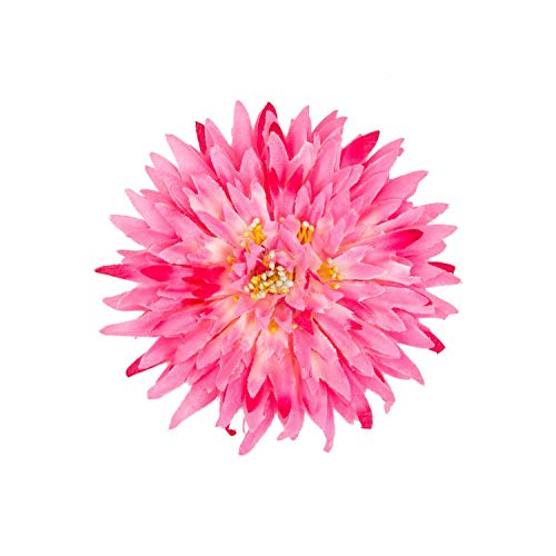 HOPEANT Flower Hair Clip 4.7" Flower Hairpin Floral Brooch Floral Hair Clips for Women Hair Accessories BXH36 (Rose red)