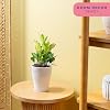 Product Photo 2