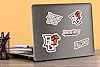 Bowling Green State University Spirit Logo 50ct Vinyl Large Deluxe Stickers Variety Pack - Laptop, Water Bottle, Scrapbooking, Tablet, Skateboard, Indoor/Outdoor #2