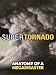 SuperTornado: Anatomy of a Megadisaster