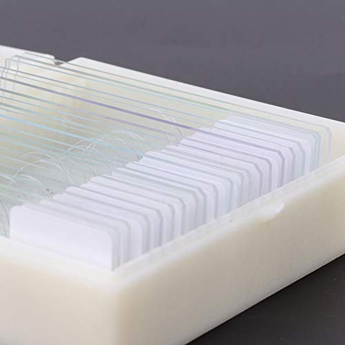 Plyisty 20 Stück Mikroskop-Objektträger, Bakterien-Objektträger aus optischem Glas für Kinder, Studenten, mit dreischichtiger Sprudelbeutelverpackung