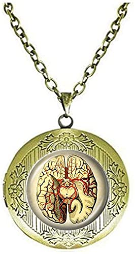 Preisvergleich Produktbild Halskette mit Medaillon für Gehirn, Anatomie, Geschenk, Neurowissenschaft, Studenten, Lehrer, Schmuck